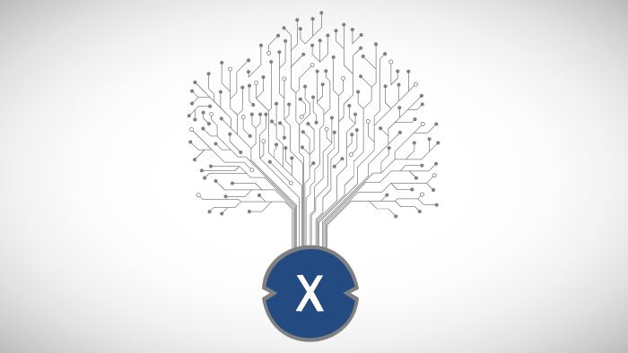 XDC Network (XDC) coin: overview, price, markets, converter and news